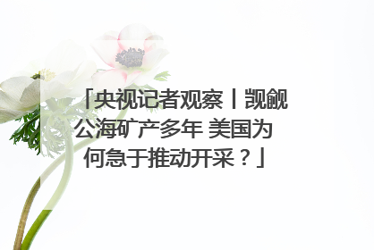 央视记者观察丨觊觎公海矿产多年 美国为何急于推动开采？