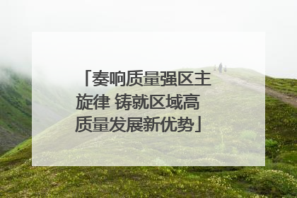 奏响质量强区主旋律 铸就区域高质量发展新优势