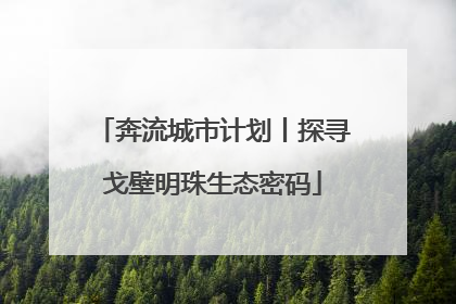 奔流城市计划丨探寻戈壁明珠生态密码