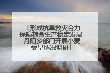 形成抗旱救灾合力 保障粮食生产稳定发展 丹阳多部门开展小麦受旱情况调研