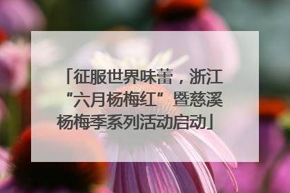 征服世界味蕾，浙江“六月杨梅红”暨慈溪杨梅季系列活动启动