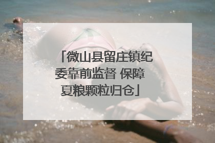微山县留庄镇纪委靠前监督 保障夏粮颗粒归仓