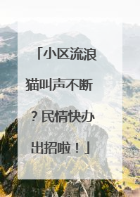 小区流浪猫叫声不断？民情快办出招啦！