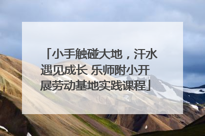 小手触碰大地，汗水遇见成长 乐师附小开展劳动基地实践课程