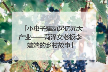 小虫子蠕动起亿元大产业——菏泽女老板李端端的乡村故事