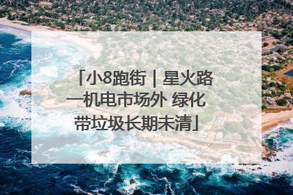 小8跑街｜星火路一机电市场外 绿化带垃圾长期未清