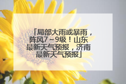 局部大雨或暴雨，阵风7～9级！山东最新天气预报，济南最新天气预报