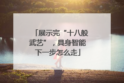 展示完“十八般武艺”，具身智能下一步怎么走