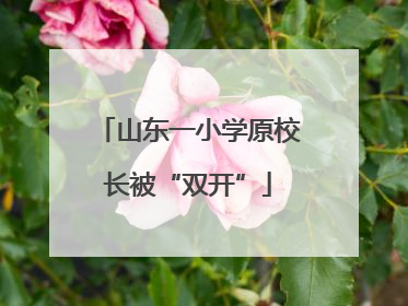 山东一小学原校长被“双开”