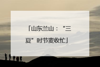 山东兰山：“三夏”时节麦收忙