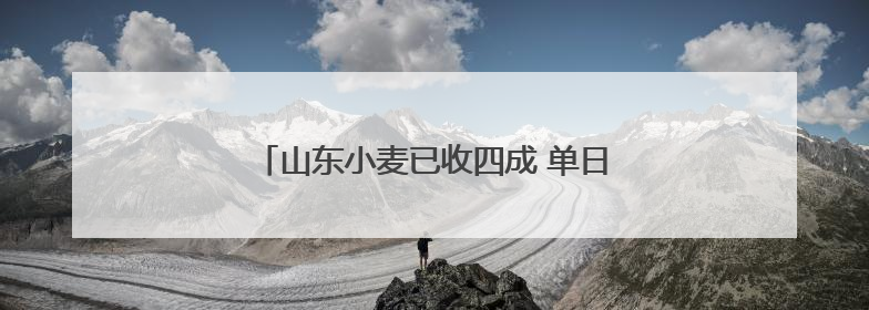 山东小麦已收四成 单日上阵八万余台联合收割机
