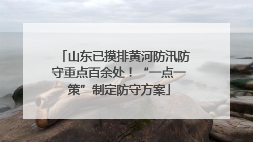 山东已摸排黄河防汛防守重点百余处！“一点一策”制定防守方案