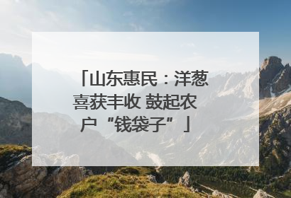 山东惠民：洋葱喜获丰收 鼓起农户“钱袋子”