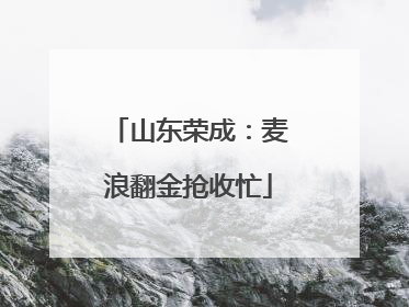 山东荣成：麦浪翻金抢收忙