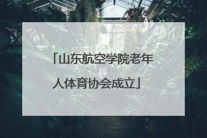 山东航空学院老年人体育协会成立