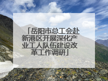 岳阳市总工会赴新港区开展深化产业工人队伍建设改革工作调研