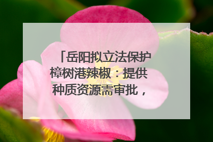 岳阳拟立法保护樟树港辣椒：提供种质资源需审批，违规最高罚5万