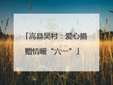 嵩县吴村：爱心捐赠情暖“六一”