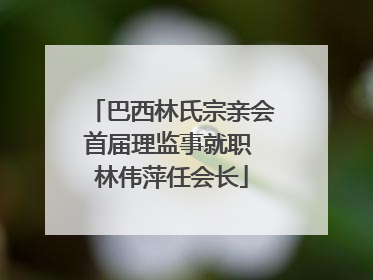 巴西林氏宗亲会首届理监事就职 林伟萍任会长