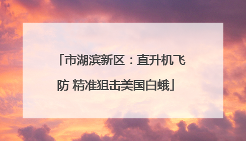 市湖滨新区：直升机飞防 精准狙击美国白蛾