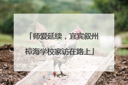 师爱延续，宜宾叙州樟海学校家访在路上