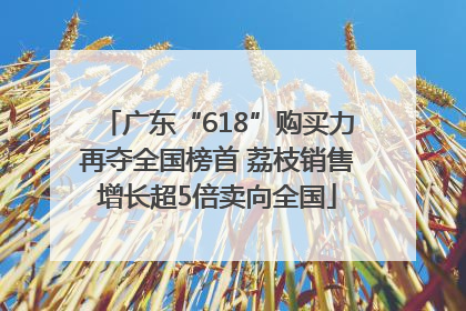 广东“618”购买力再夺全国榜首 荔枝销售增长超5倍卖向全国