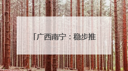 广西南宁：稳步推进城中村改造项目