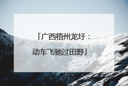 广西梧州龙圩：动车飞驰过田野