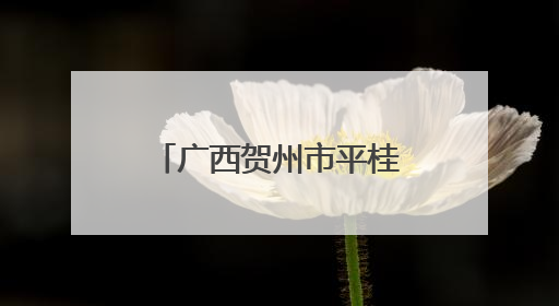 广西贺州市平桂区芳林马蹄专场推介会走进哈尔滨