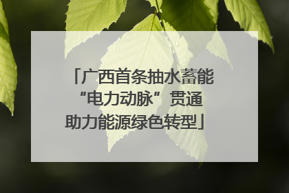 广西首条抽水蓄能“电力动脉”贯通 助力能源绿色转型