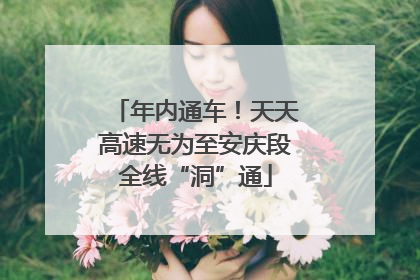 年内通车！天天高速无为至安庆段全线“洞”通
