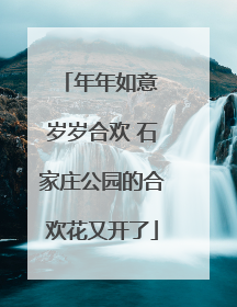 年年如意 岁岁合欢 石家庄公园的合欢花又开了
