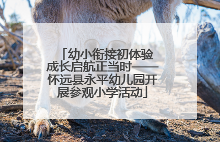 幼小衔接初体验 成长启航正当时——怀远县永平幼儿园开展参观小学活动