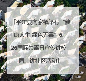 平江县向家镇举行“健康人生 绿色无毒”6.26国际禁毒日宣传进校园、进社区活动