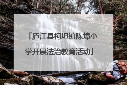 庐江县柯坦镇陈埠小学开展法治教育活动