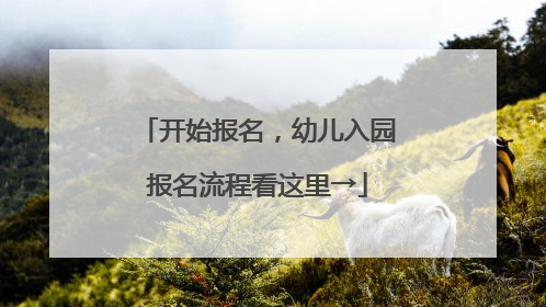 开始报名，幼儿入园报名流程看这里→