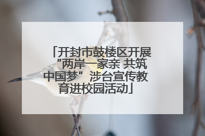 开封市鼓楼区开展“两岸一家亲 共筑中国梦”涉台宣传教育进校园活动