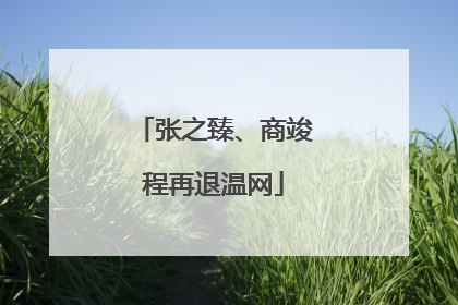 张之臻、商竣程再退温网