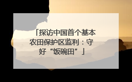 探访中国首个基本农田保护区监利：守好“饭碗田”