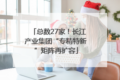 总数27家！长江产业集团“专精特新”矩阵再扩容