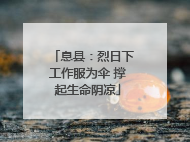 息县：烈日下工作服为伞 撑起生命阴凉