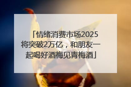 情绪消费市场2025将突破2万亿，和朋友一起喝好酒梅见青梅酒