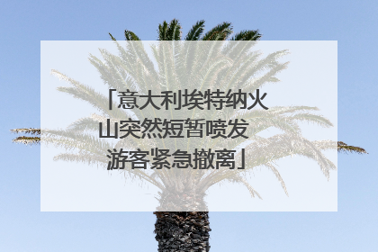 意大利埃特纳火山突然短暂喷发 游客紧急撤离