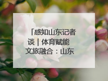 感知山东记者谈｜体育赋能 文旅融合：山东打造体商文旅融合发展新格局