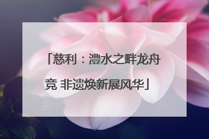 慈利：澧水之畔龙舟竞 非遗焕新展风华