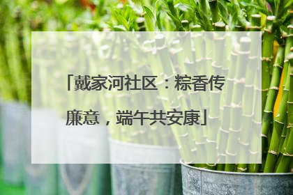 戴家河社区：粽香传廉意，端午共安康