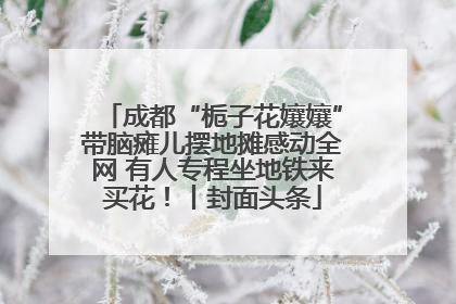 成都“栀子花孃孃”带脑瘫儿摆地摊感动全网 有人专程坐地铁来买花！丨封面头条
