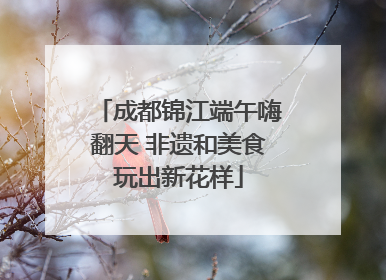 成都锦江端午嗨翻天 非遗和美食玩出新花样