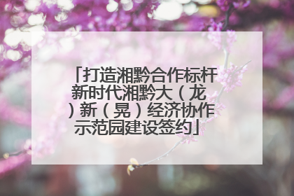 打造湘黔合作标杆 新时代湘黔大（龙）新（晃）经济协作示范园建设签约