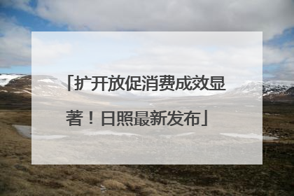 扩开放促消费成效显著！日照最新发布